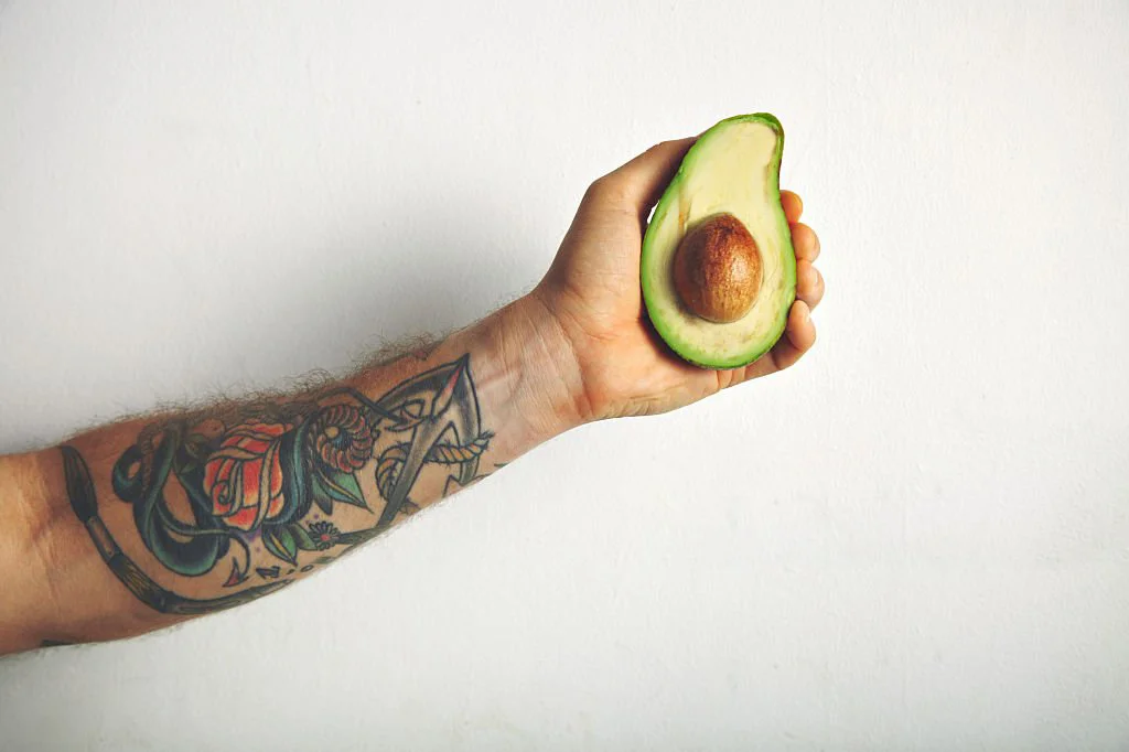 Alimentação